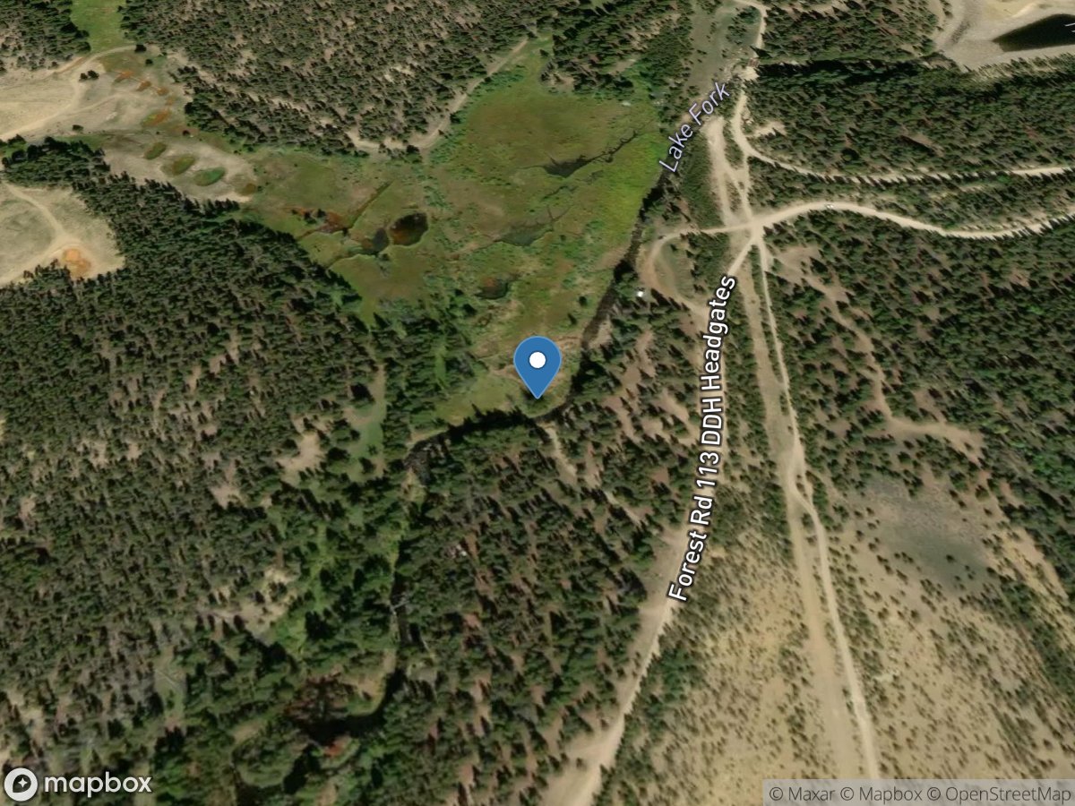 Lake Fork (lf-468) near Leadville, CO location