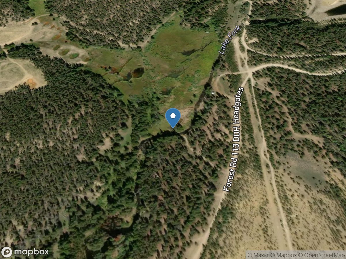 Rt Bank Inflow (lf-484) near Leadville, CO location