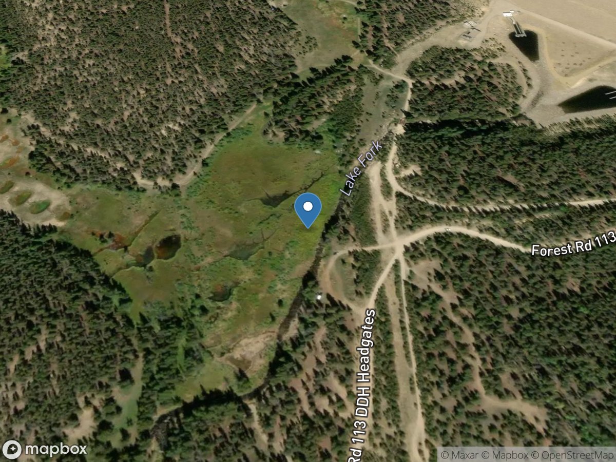 Rt Bank Inflow (lf-295) near Leadville, CO location