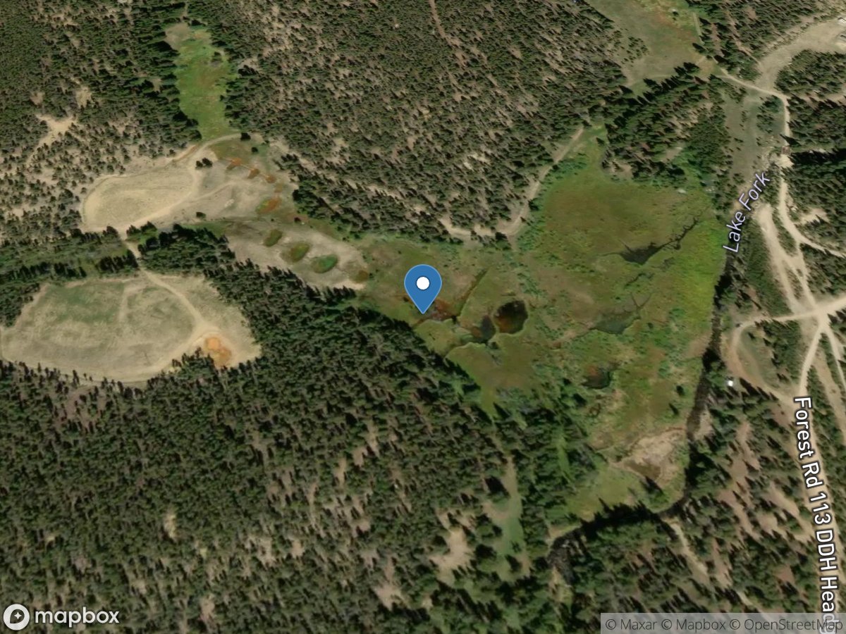 Dinero Wetland (dws-09) near Leadville, CO location