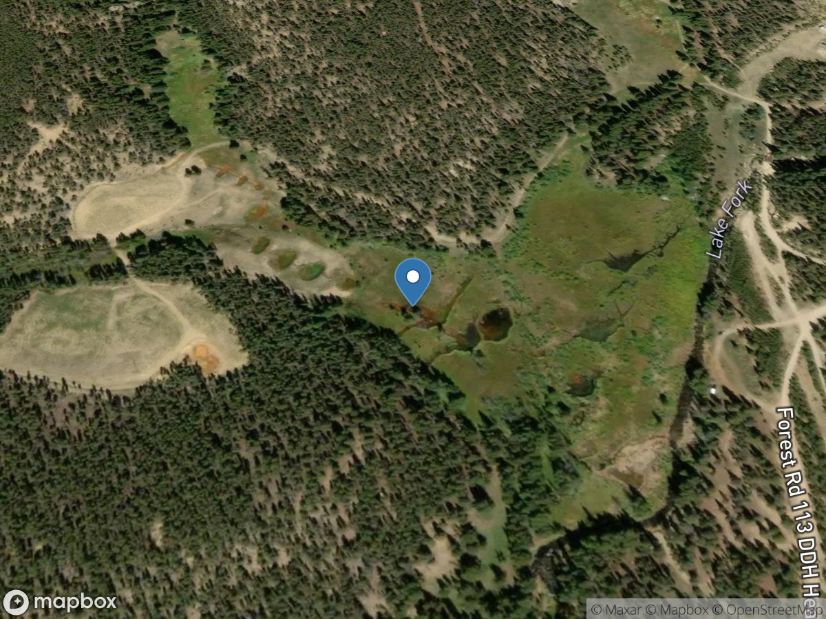 Dinero Wetland (dws-09.5) near Leadville, CO location