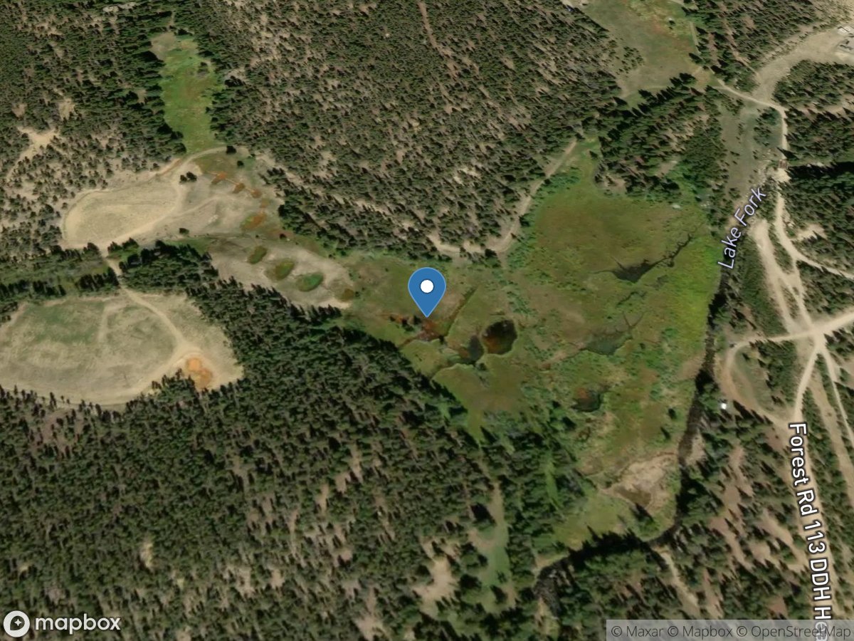 Dinero Wetland (dtc-1-14) near Leadville, CO location