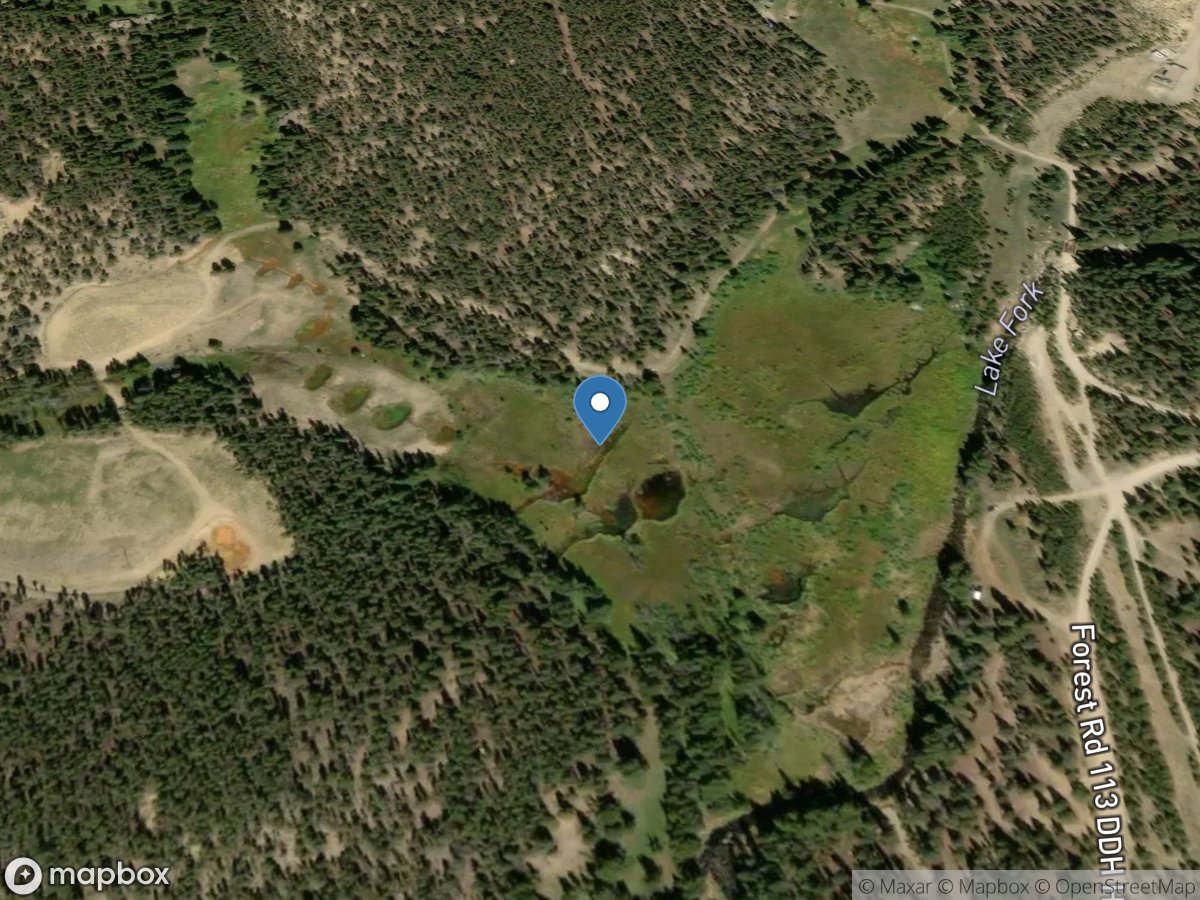 Dinero Wetland (dws-11) near Leadville, CO location