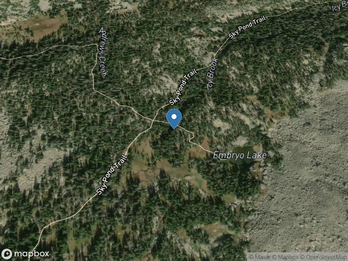 Icy Brook above Andrews Creek Loch Vale Rmnp, CO location