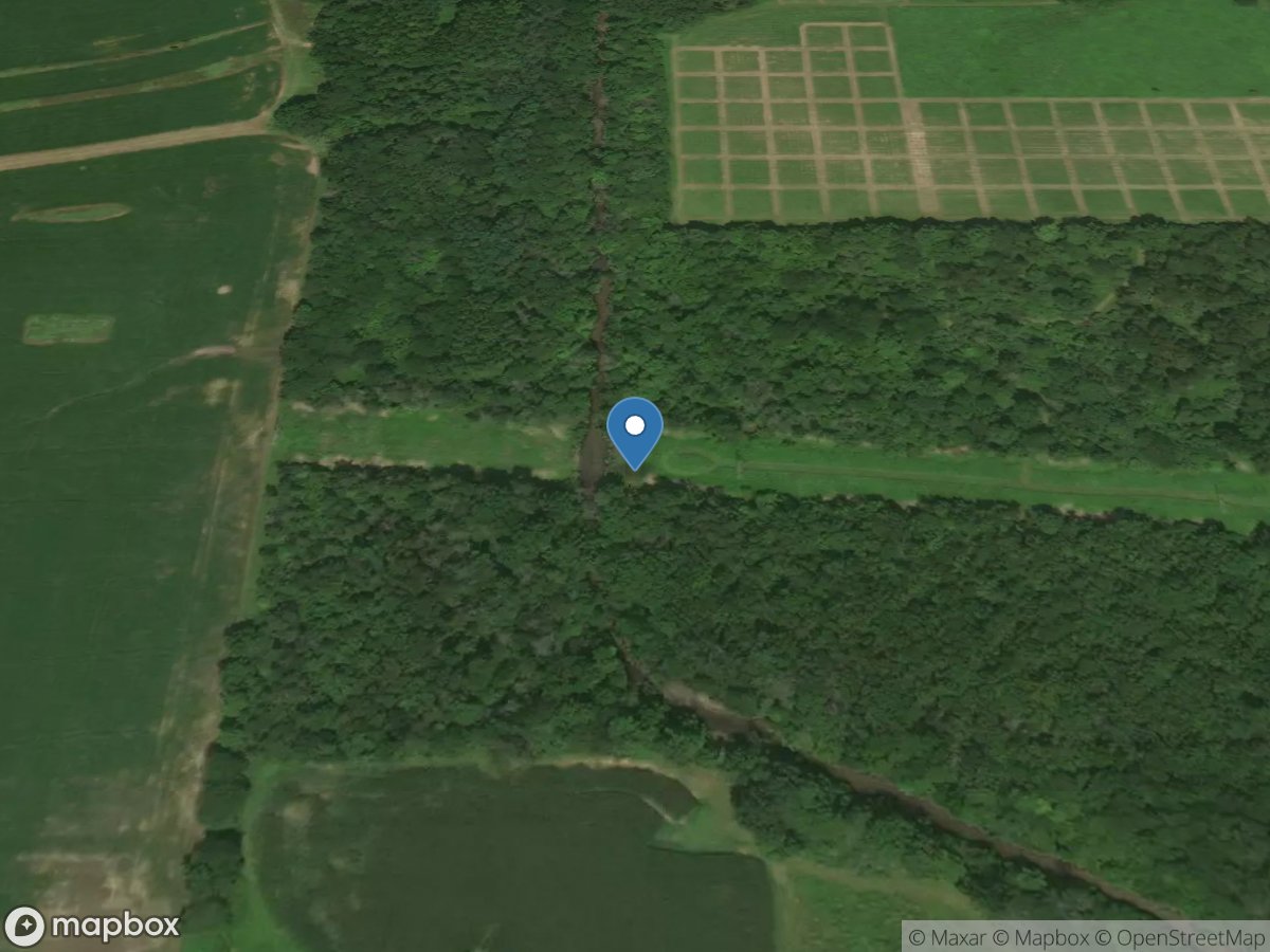 Saline Branch above 1700e near Urbana, IL location