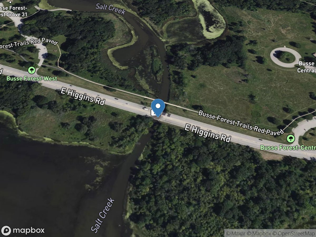 Salt Creek at Higgins Road near Elk Grove Village, IL location