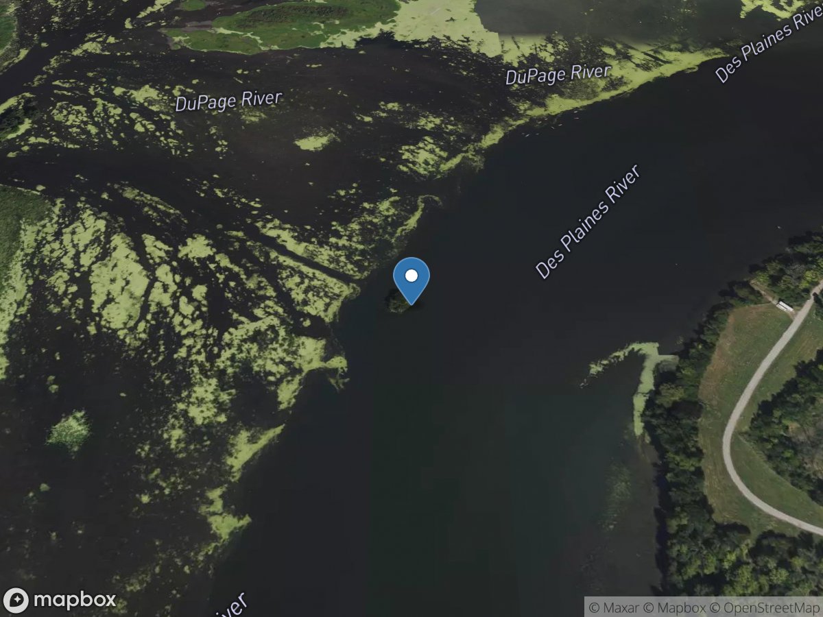 Des Plaines River at Channahon, IL location