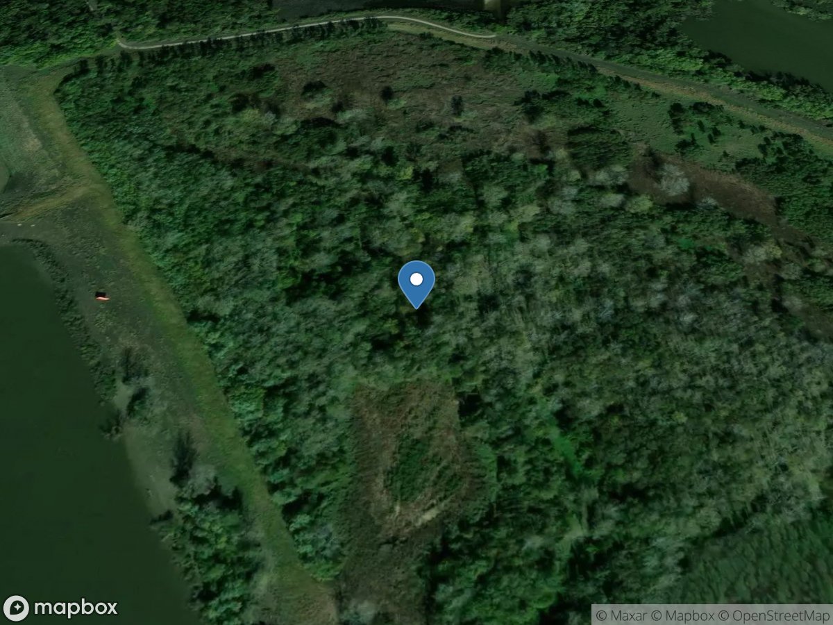 Kaskaskia River at Navigation L & D, IL (upper)(corps) location