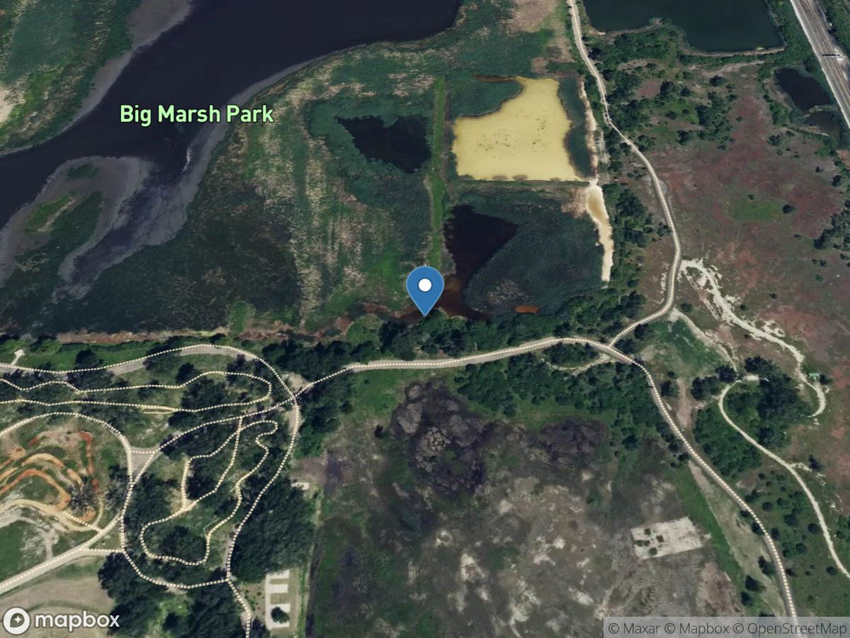 Big Marsh at Pond Creek Outlet at South Deering, IL location