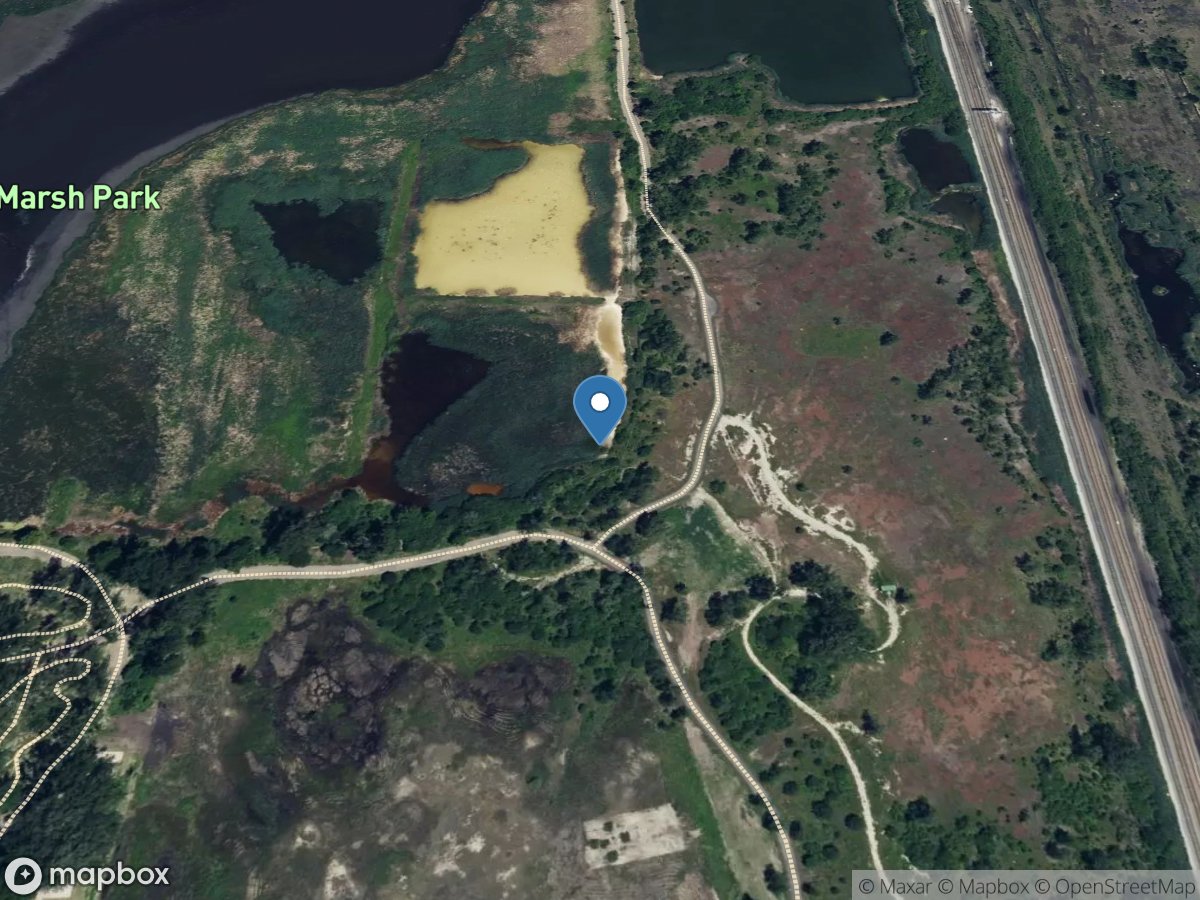 Big Marsh at Pond Creek at Seep 2 at South Deering, IL location