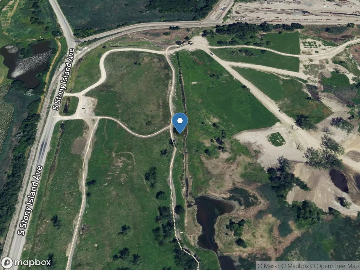 Big Marsh at Indian Creek at South Deering, IL location