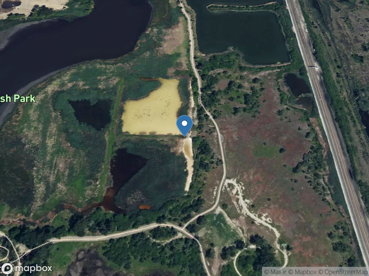 Big Marsh at Pond Creek at Seep 1 at South Deering, IL location