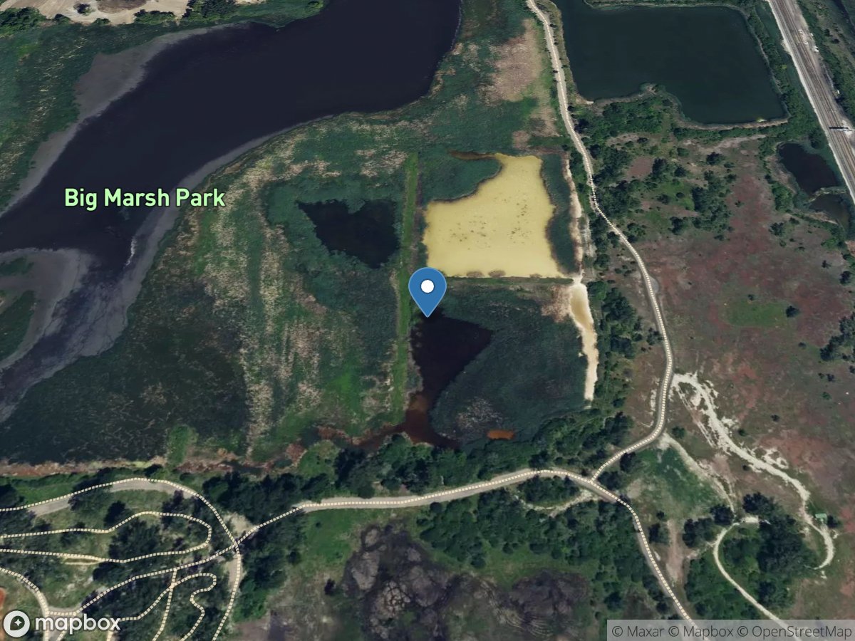 Big Marsh at Pond C West at South Deering, IL location