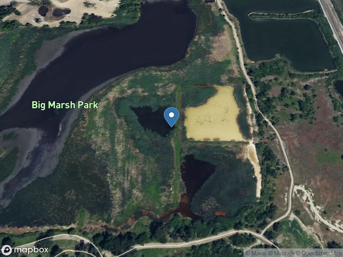 Big Marsh at Pond B West at South Deering, IL location