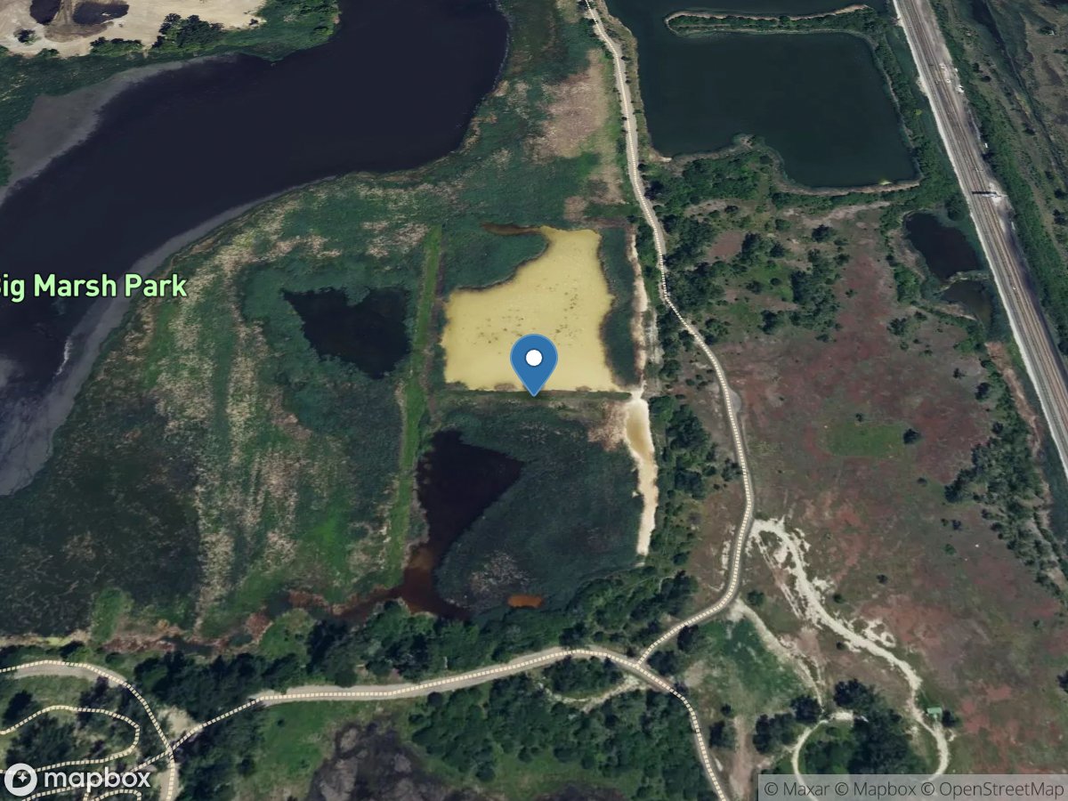 Big Marsh at Pond B at South Deering, IL location