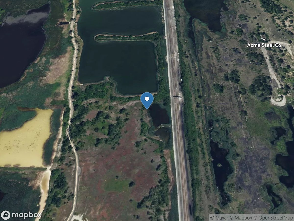 Big Marsh at Unnamed Pond at South Deering, IL location