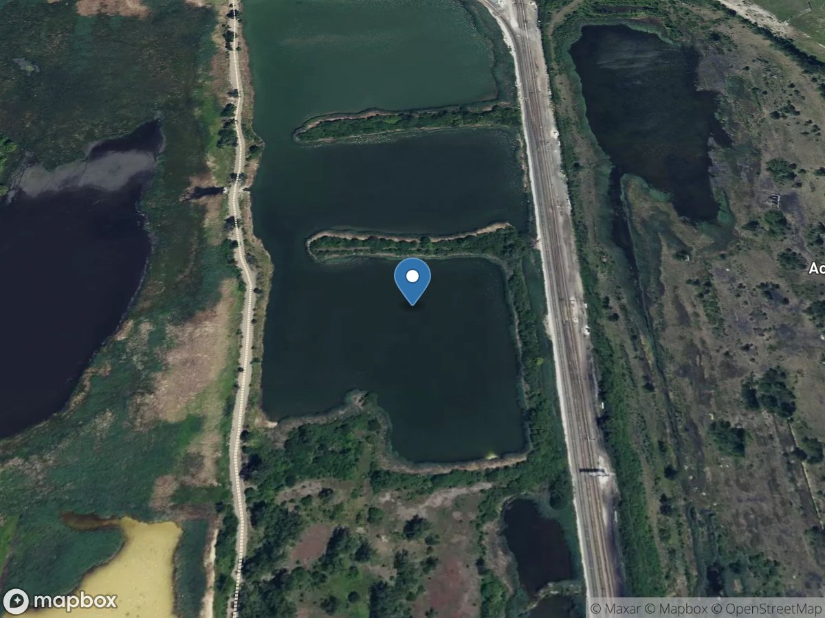 Big Marsh at Pond a South at South Deering, IL location