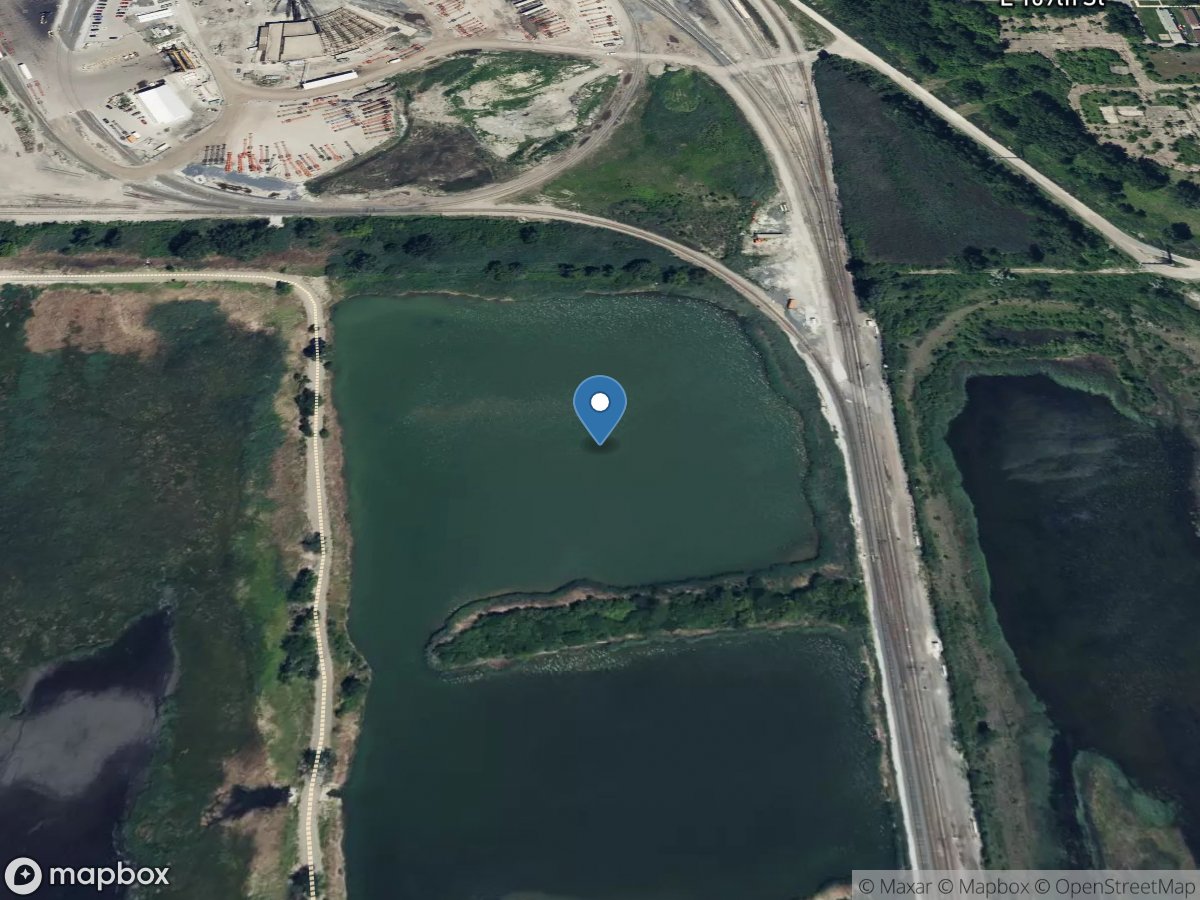 Big Marsh at Pond a North at South Deering, IL location