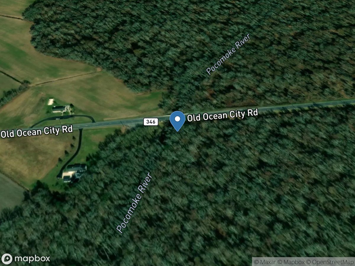 Pocomoke River near Willards, MD location