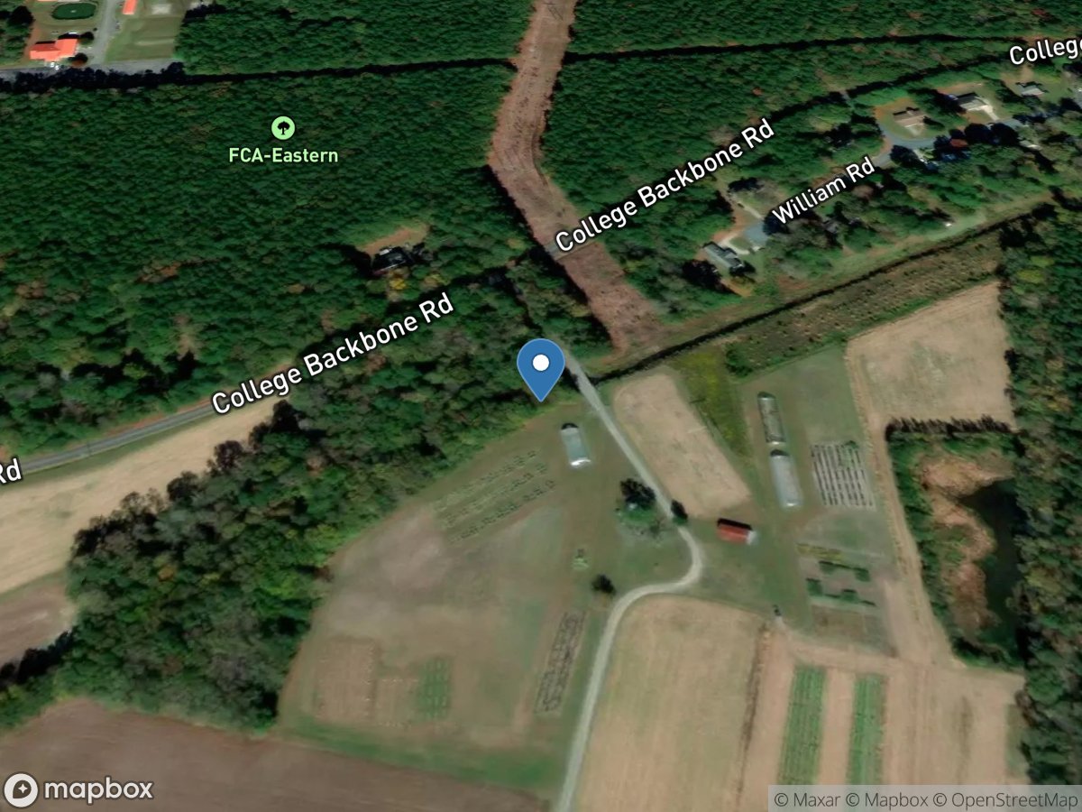 Manokin Branch near Princess Anne, MD location