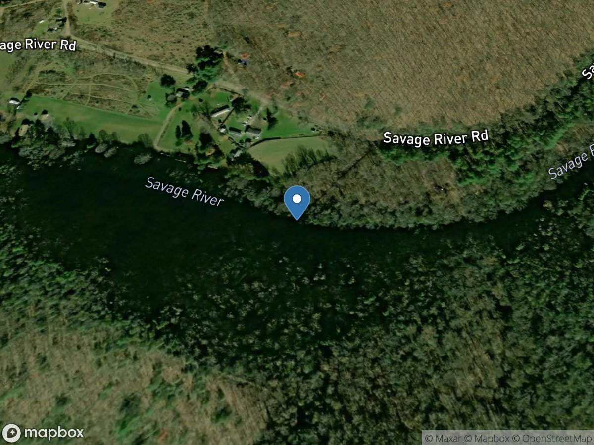 Savage River near Barton, MD location