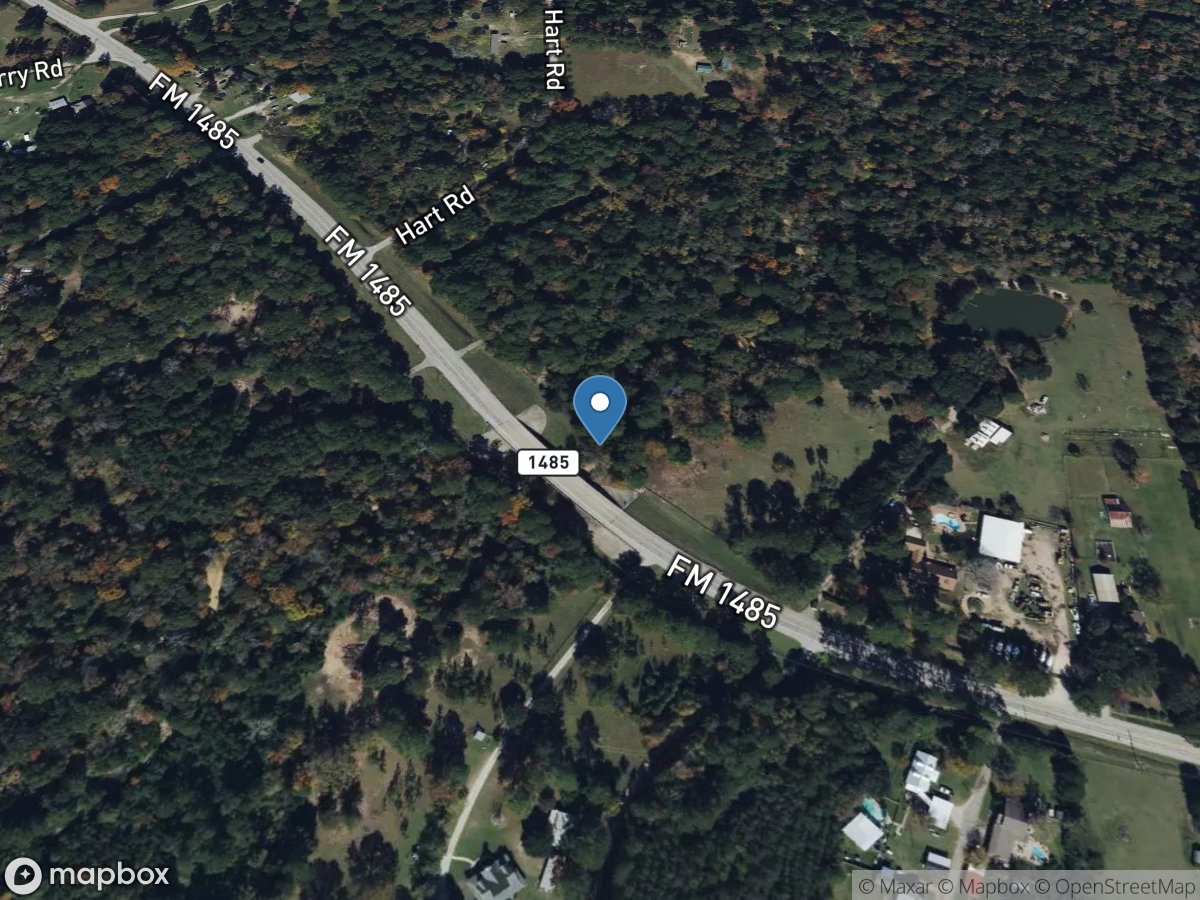 E Fork Crystal Creek at FM 1485 near Cut and Shoot, TX location