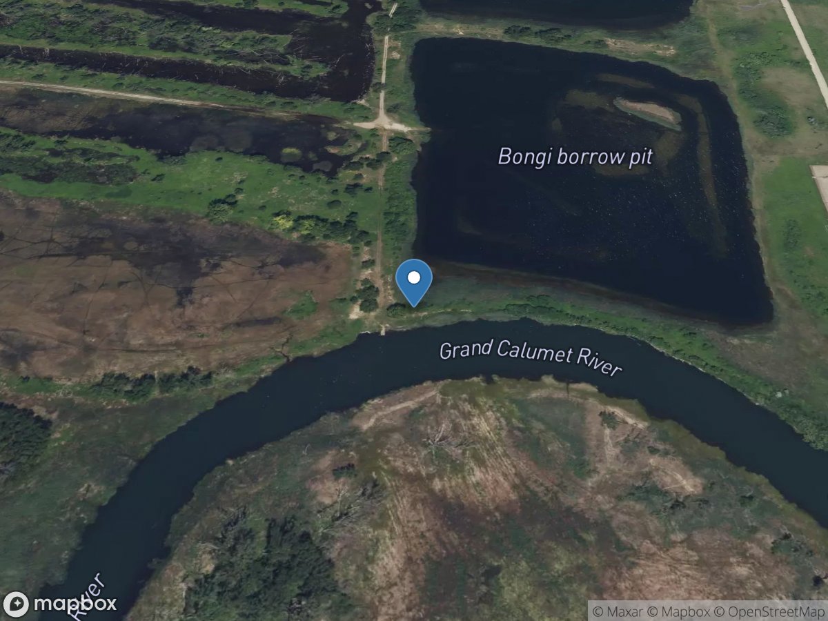 Pine Station Np Site S13-Discharge near Gary, IN location