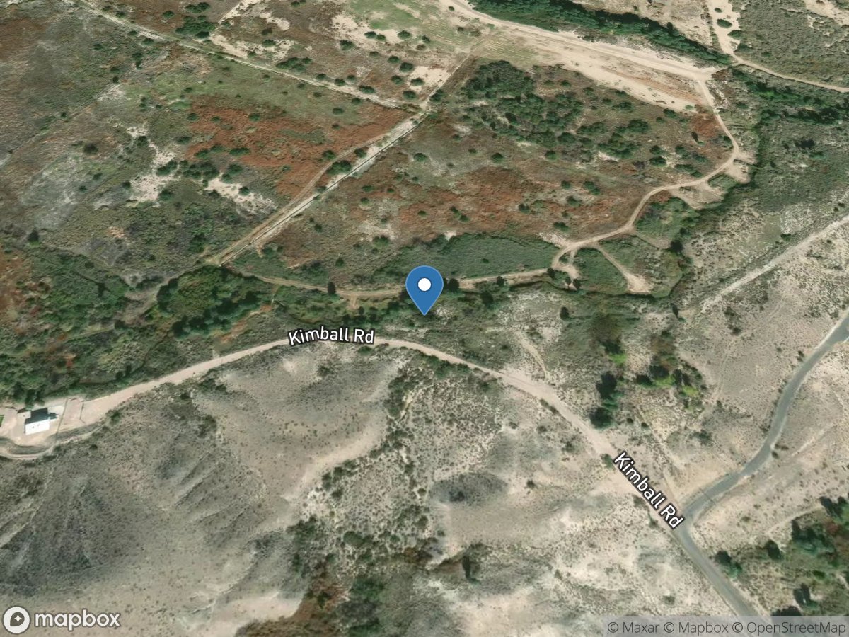 Baldwin Spgs near Moapa, NV location