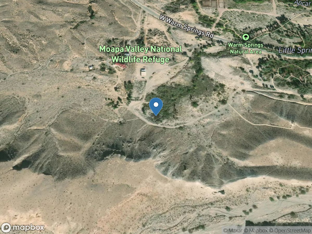 Pederson East Spgs near Moapa, NV location
