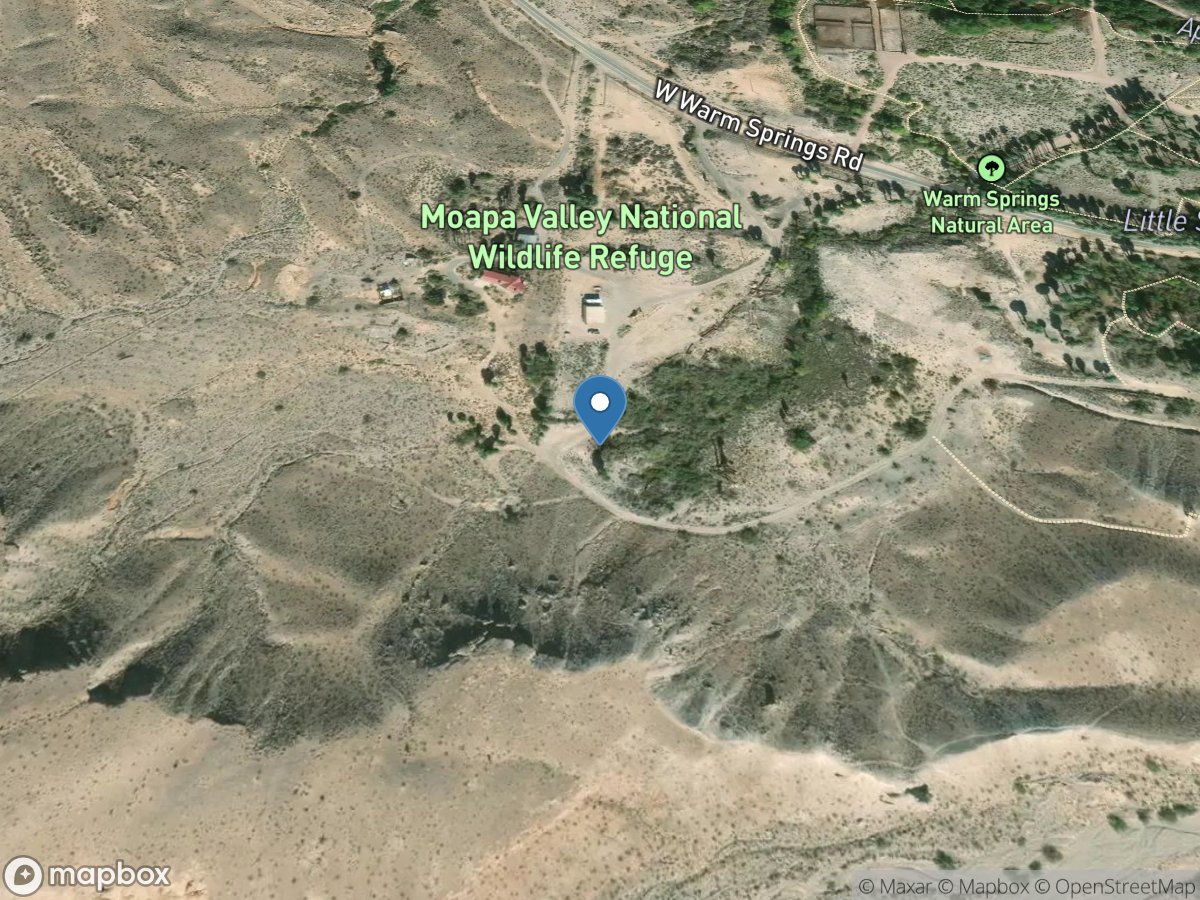 Pederson Spgs near Moapa, NV location