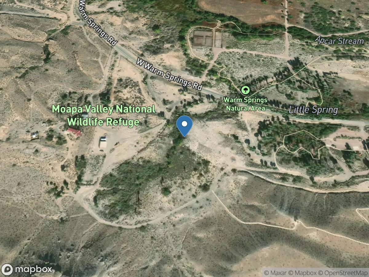 Warm Spgs West Inflow near Moapa, NV location