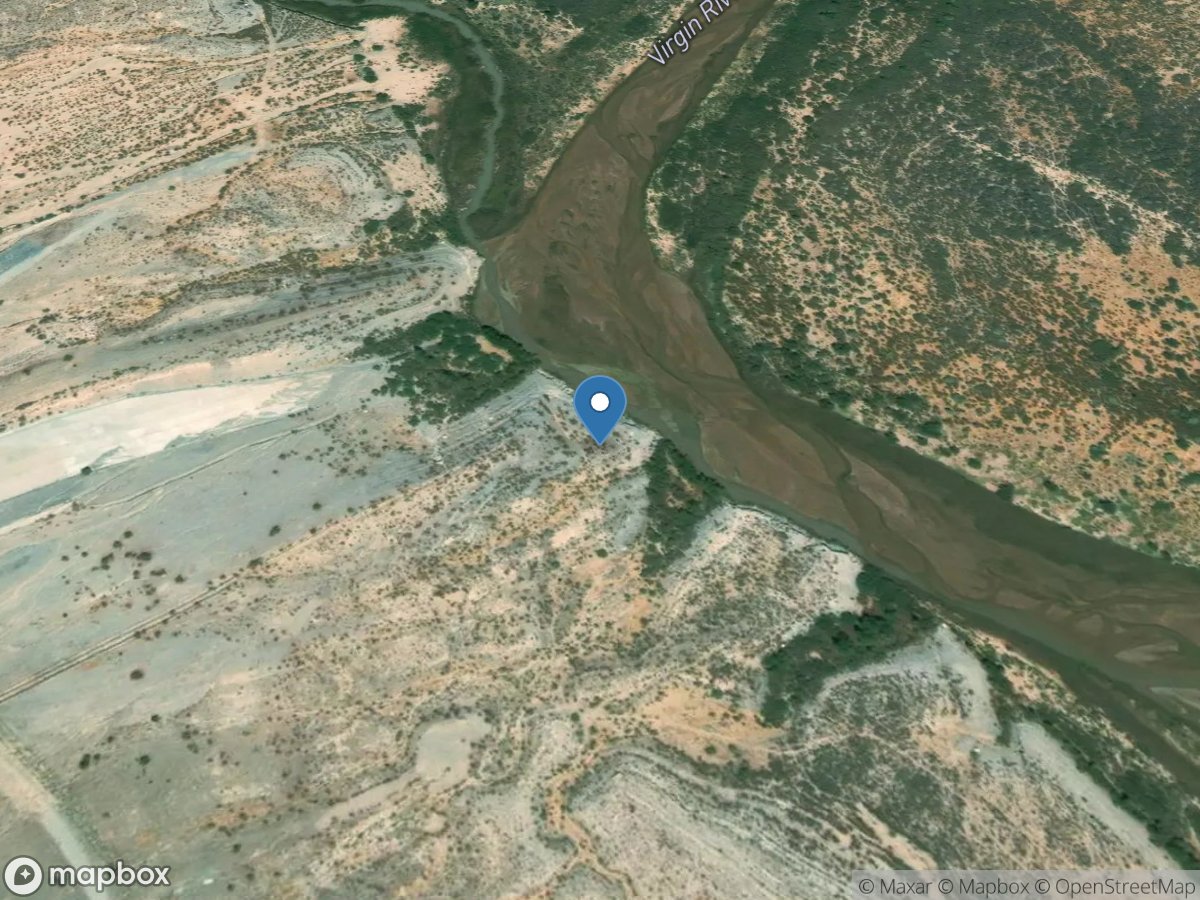 Virgin RV below Conf of Muddy RV near Overton, NV location