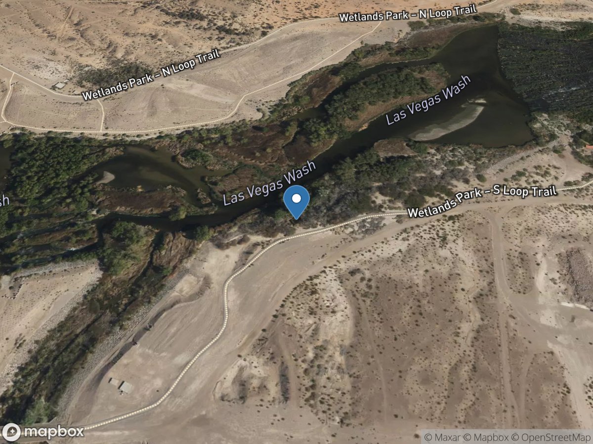Lv Wash above Bostick Weir near Henderson, NV location
