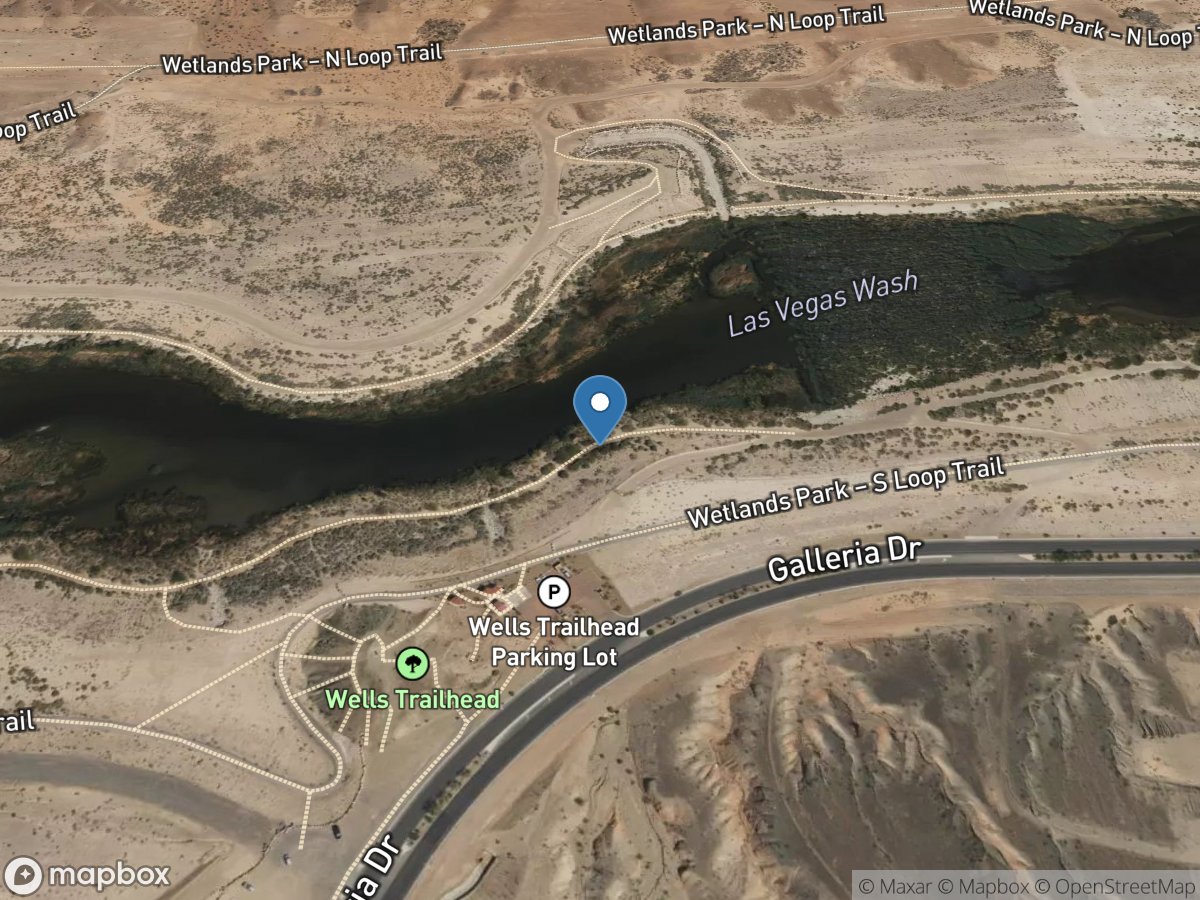 Lv Wash above Homestead Weir near Henderson, NV location