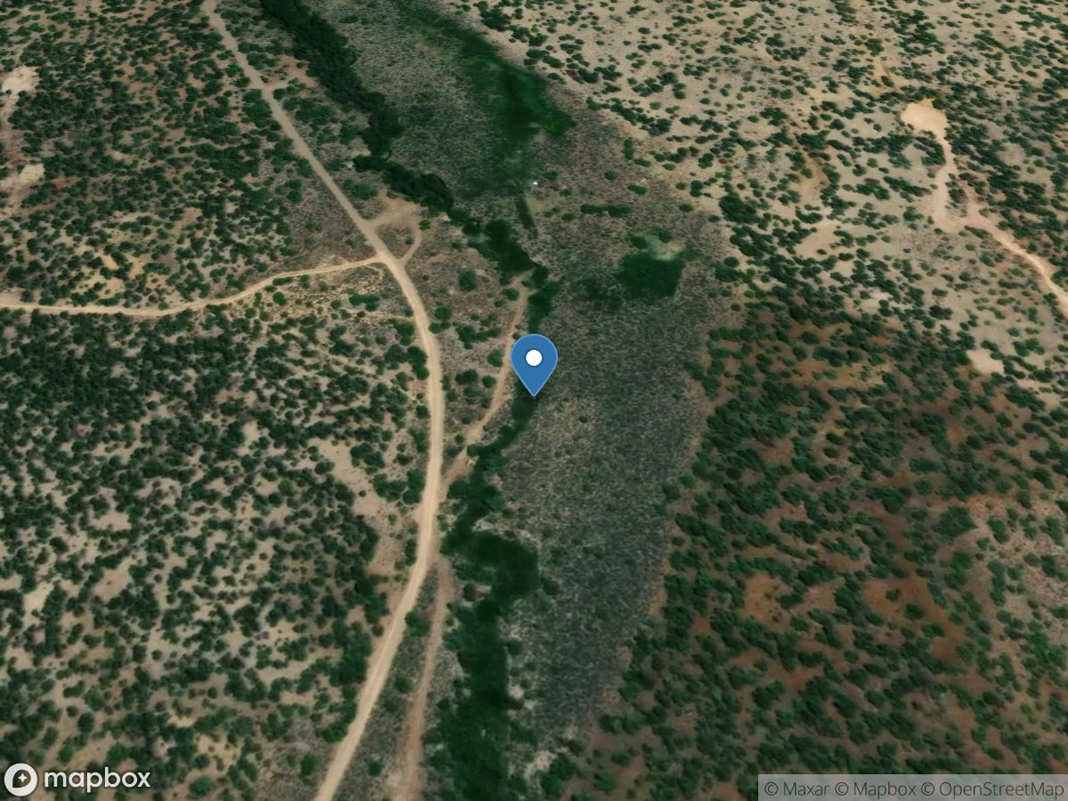 Roberts Creek near Eureka, NV location