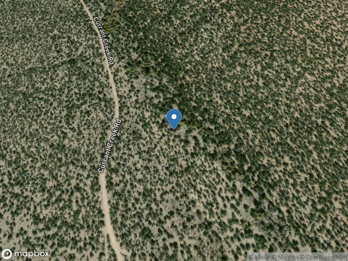 L Currant Creek near Currant, NV location