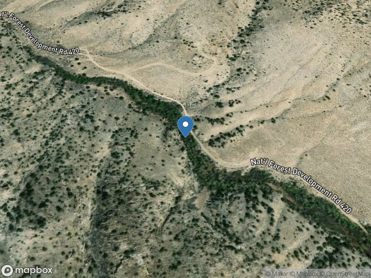 Troy Cyn near Nyala, NV location