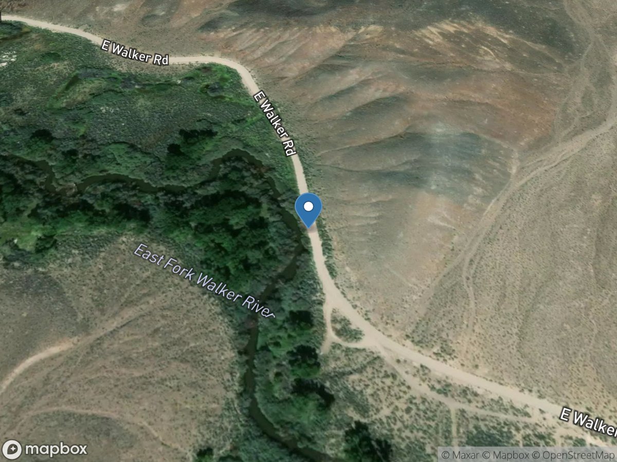 E Walker RV above Strosnider Ditch near Mason, NV location