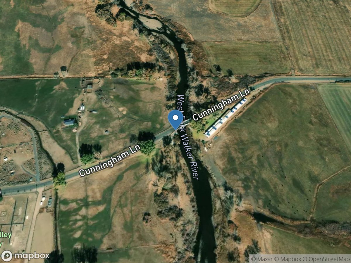 W Walker Rvr at Cunninham Bridge at Coleville, CA location