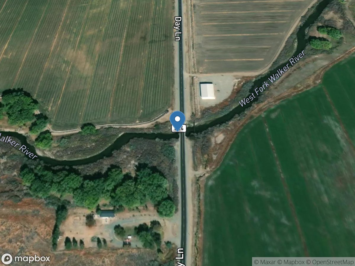 W WALKER River At Highway 824 At SMITH VLY, NV location