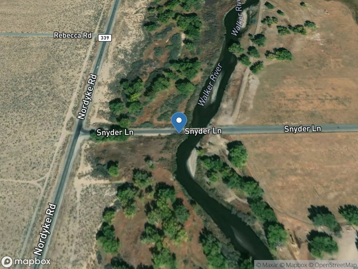 Walker RV at Snyder Lane near Mason, NV location