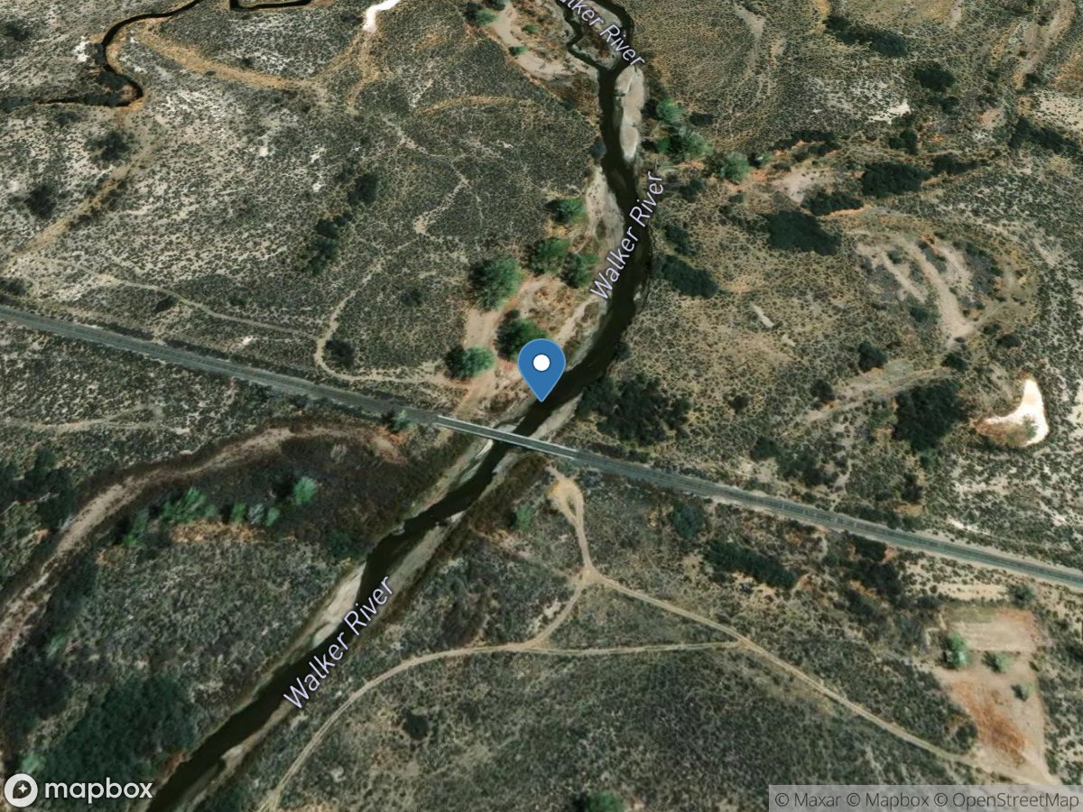 Walker RV below Mason Vly Wma at Rr Xing near Wabuska location