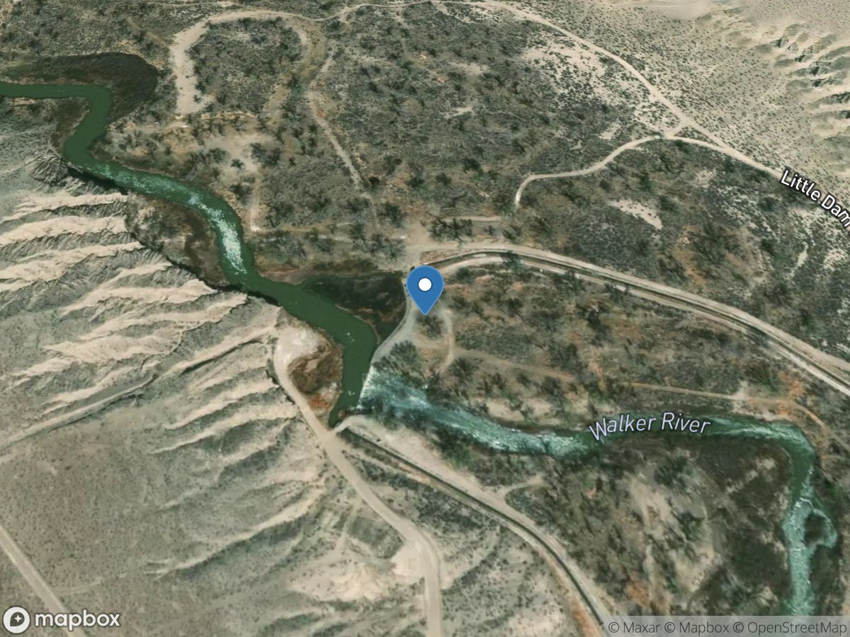 Walker RV above Little DAM near Schurz, NV location
