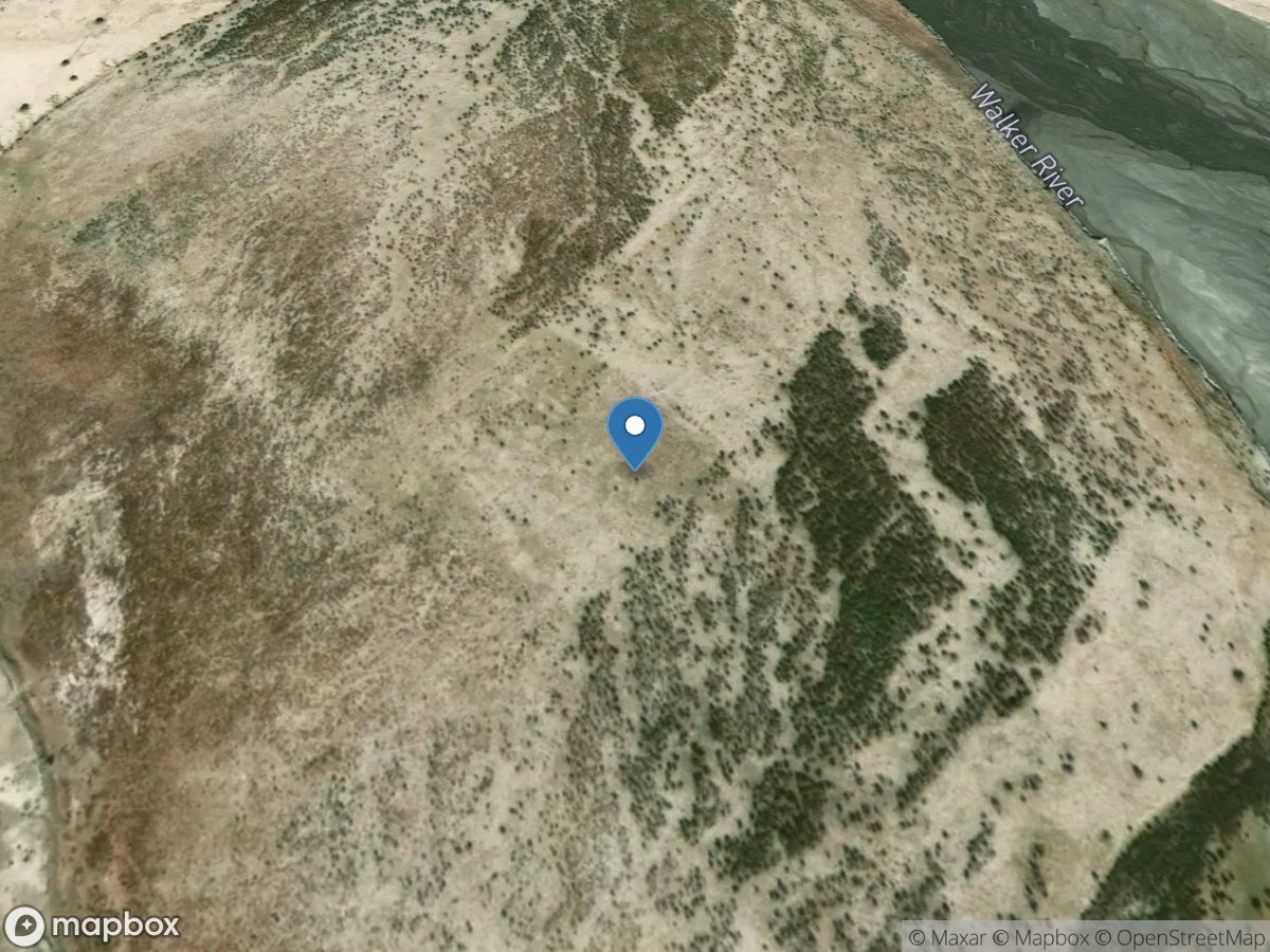 Walker RV near Mouth at Walker Lake, NV location