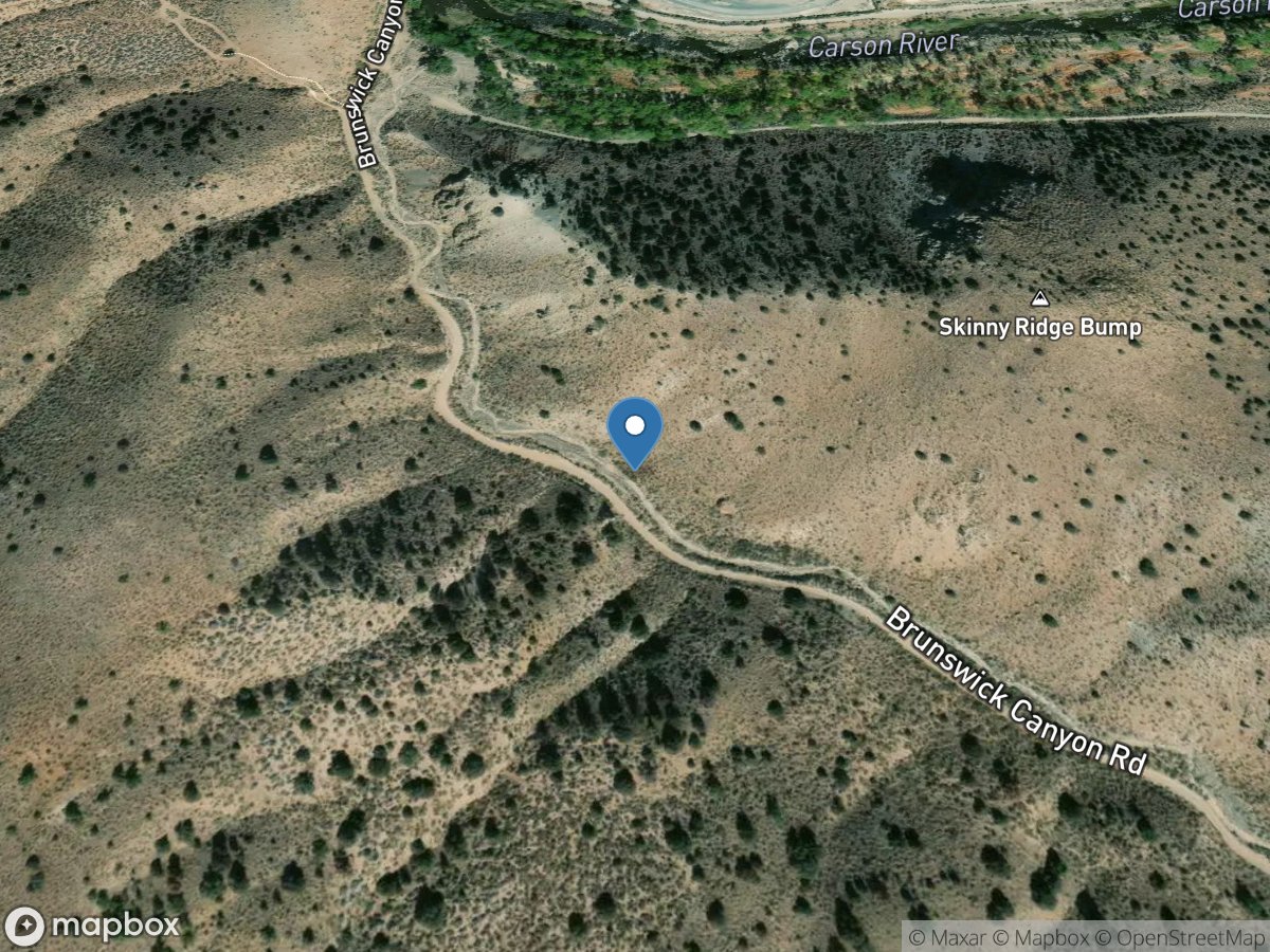 Brunswick Cyn near New Empire, NV location