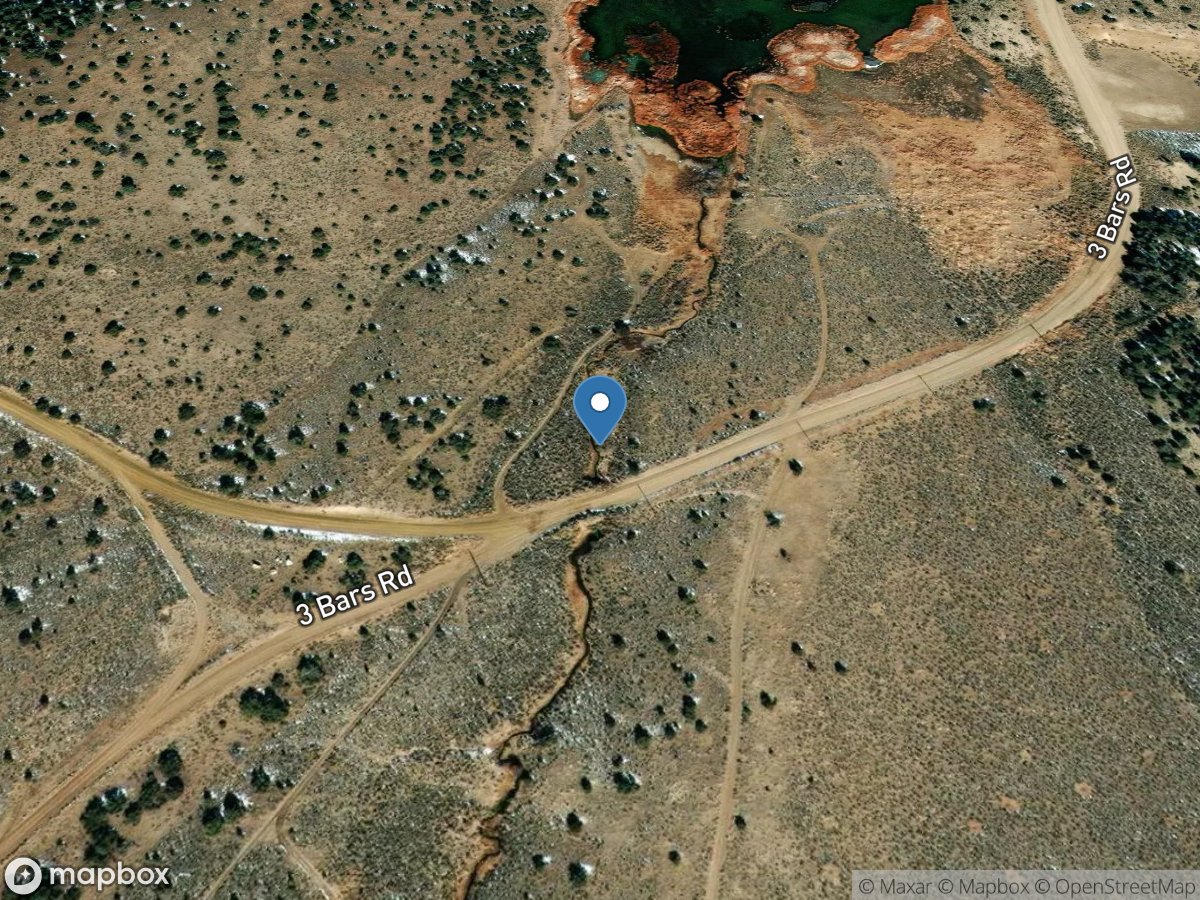 Tonkin Spg Outflow above Denay Creek near Eureka, NV location