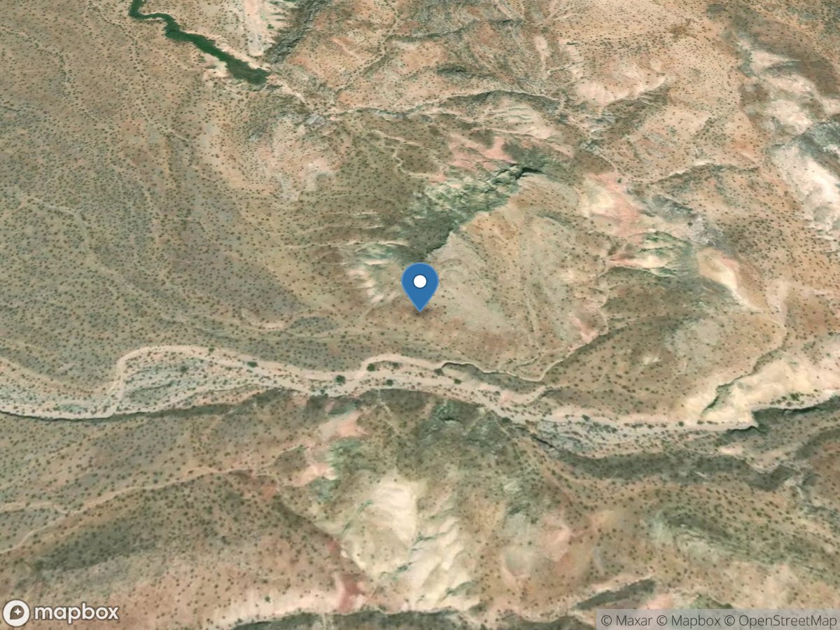 Bear Paw Poppy Spring Outflow near Lake Mead, NV location