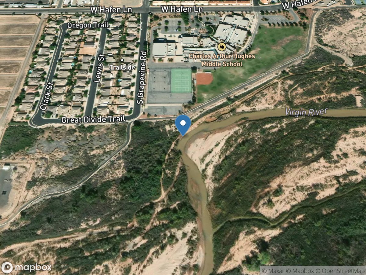 Virgin RV near Grapevine Road near Mesquite, NV location