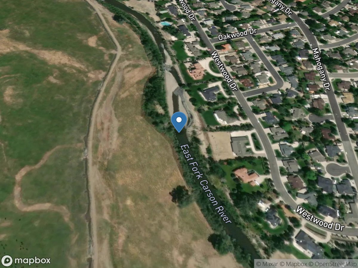 E Fork Carson Rvr near Muller Lane Midstream Transect location