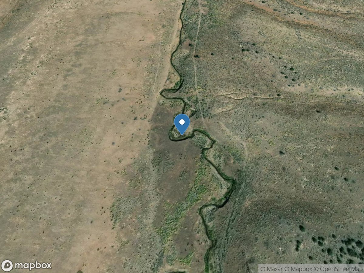 Seepage Dx00.5-Dixie Creek below Conf Cissillini Cyn location